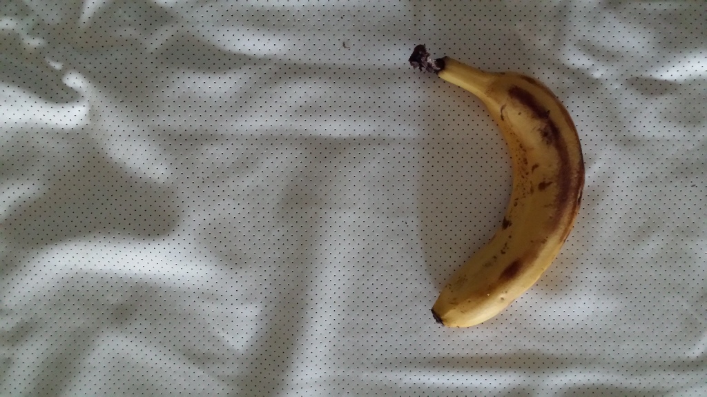 20141122_062315.jpg