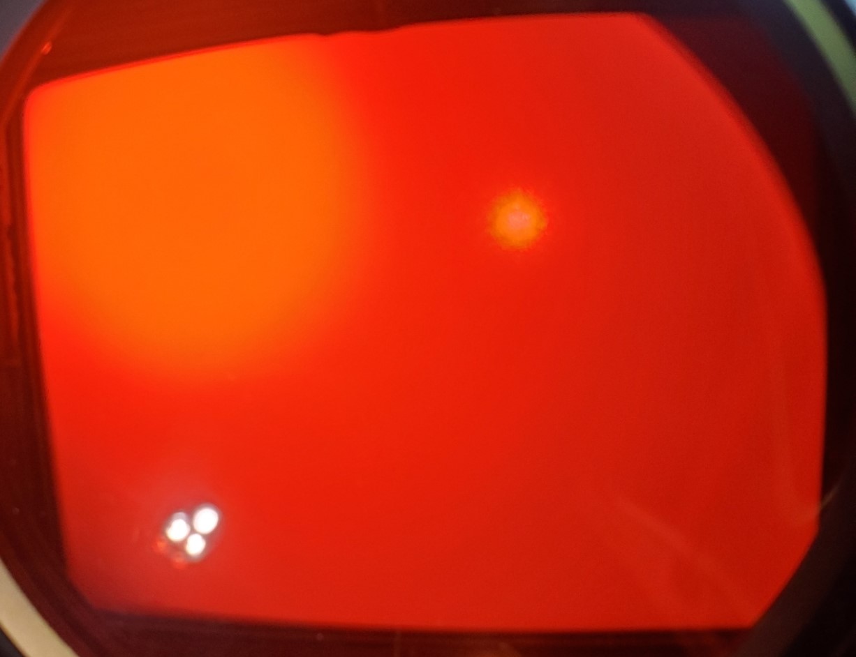 20230512_120114.jpg