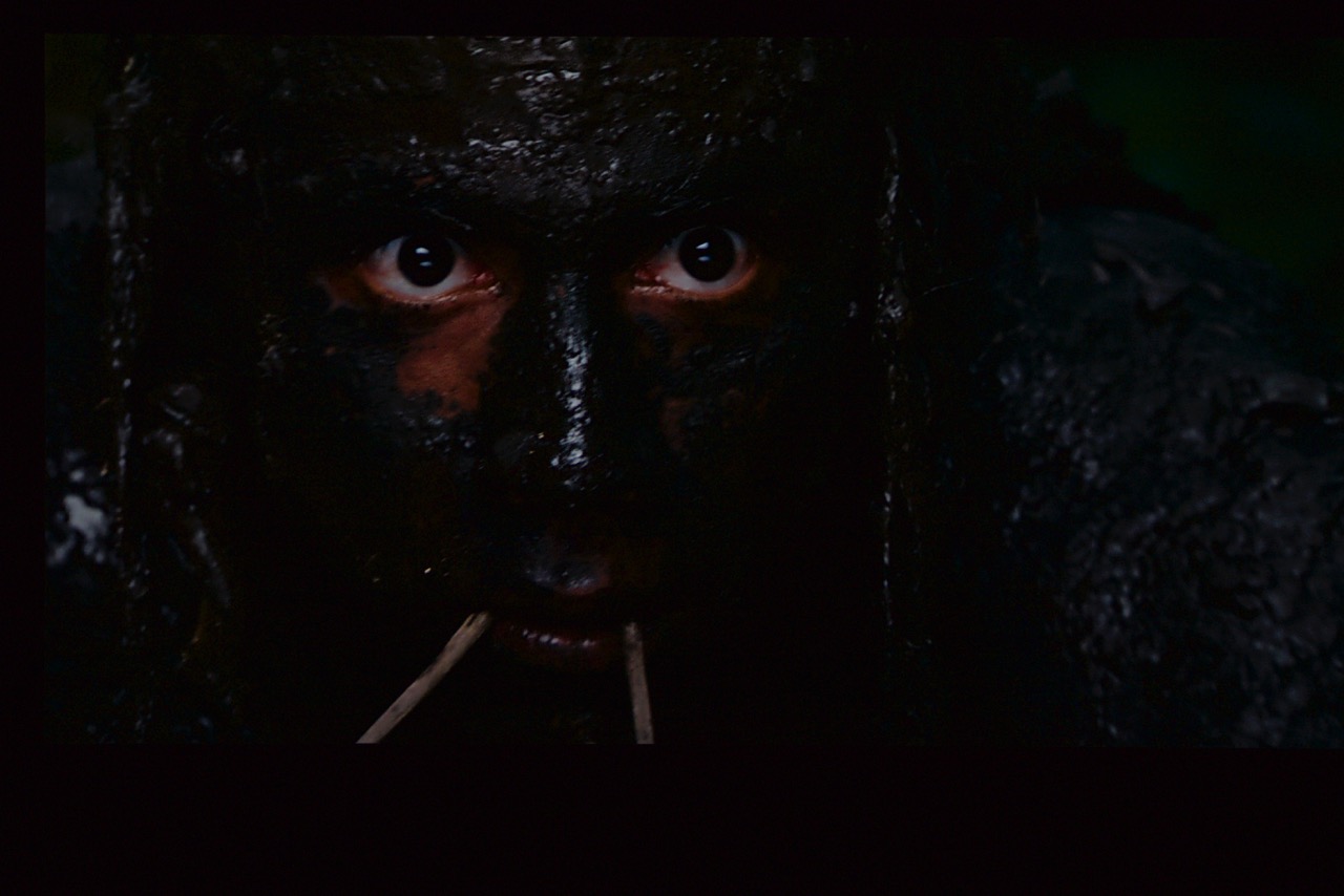 Apocalypto 2.jpeg