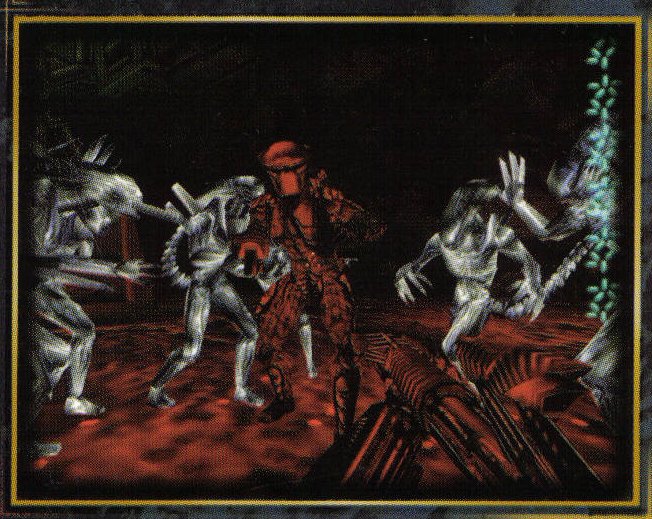 AvsP6.jpg