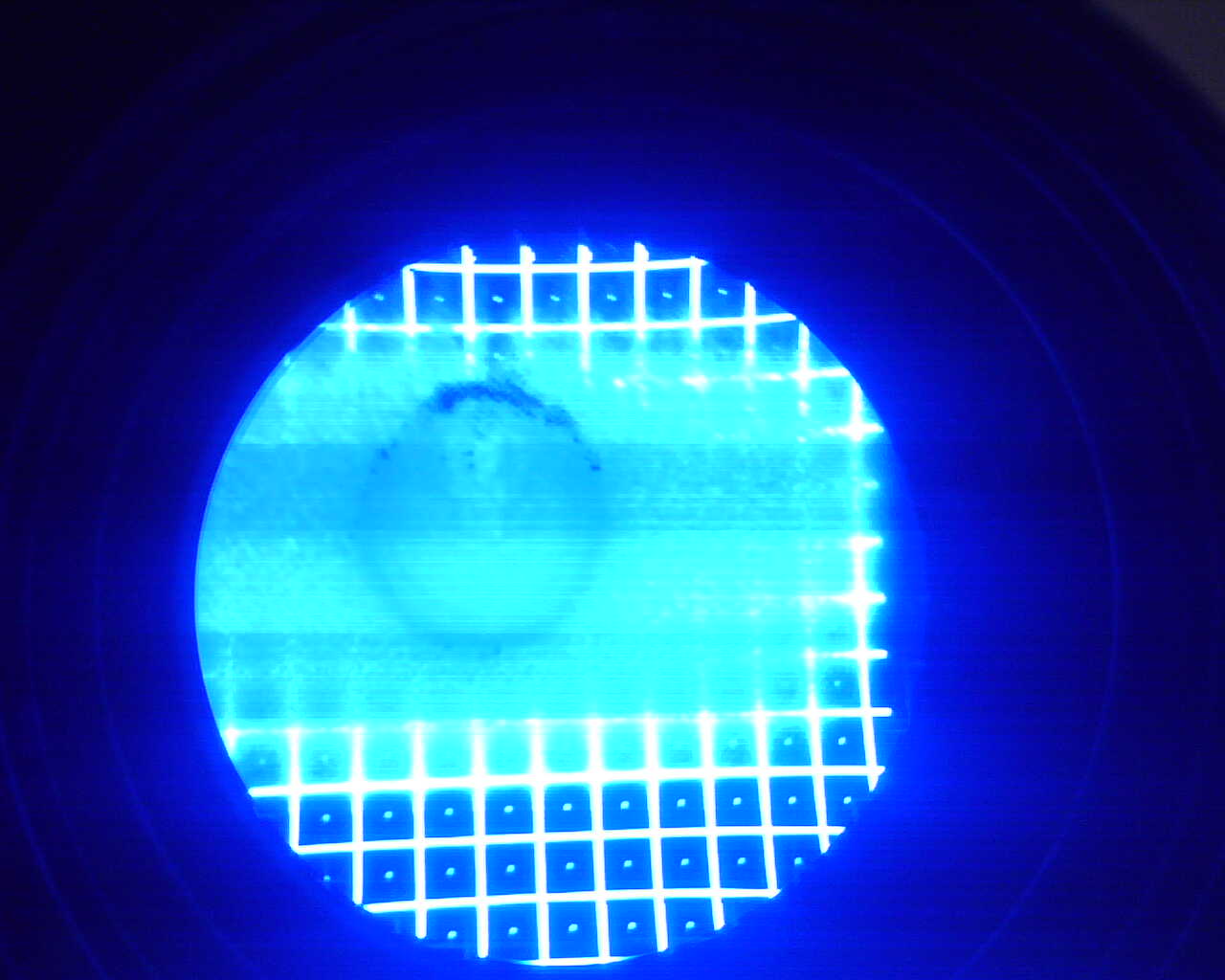 blue grid.jpg