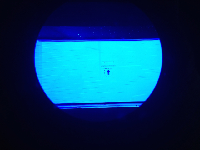 bluebad2.jpg