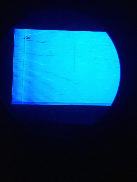 bluebad.jpg