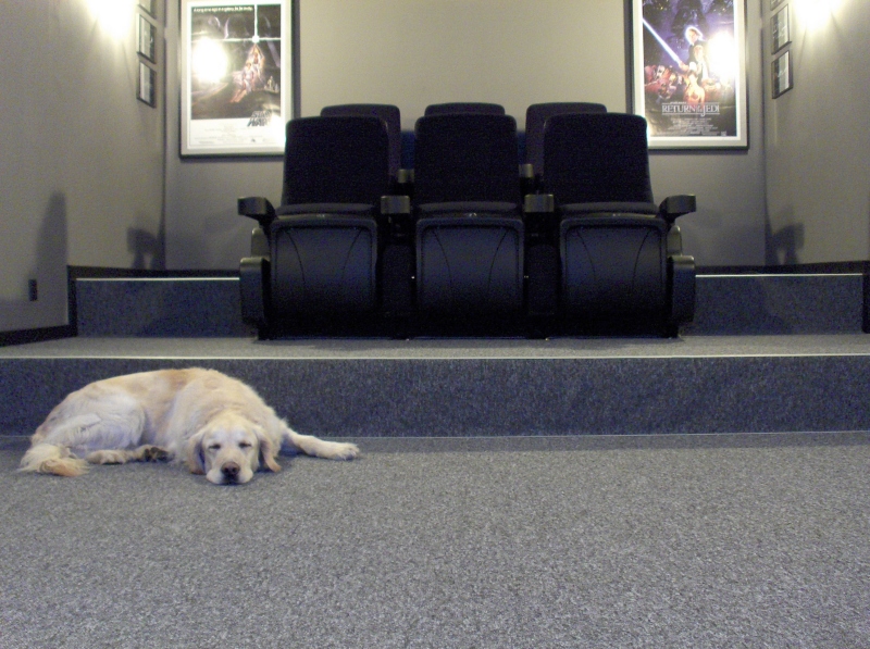 cinema2.jpg