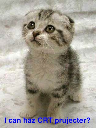 CRTkitten.jpg