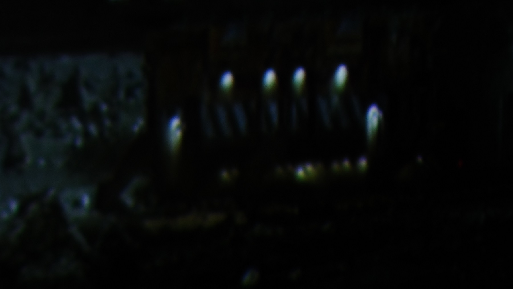 DSC04674.jpg