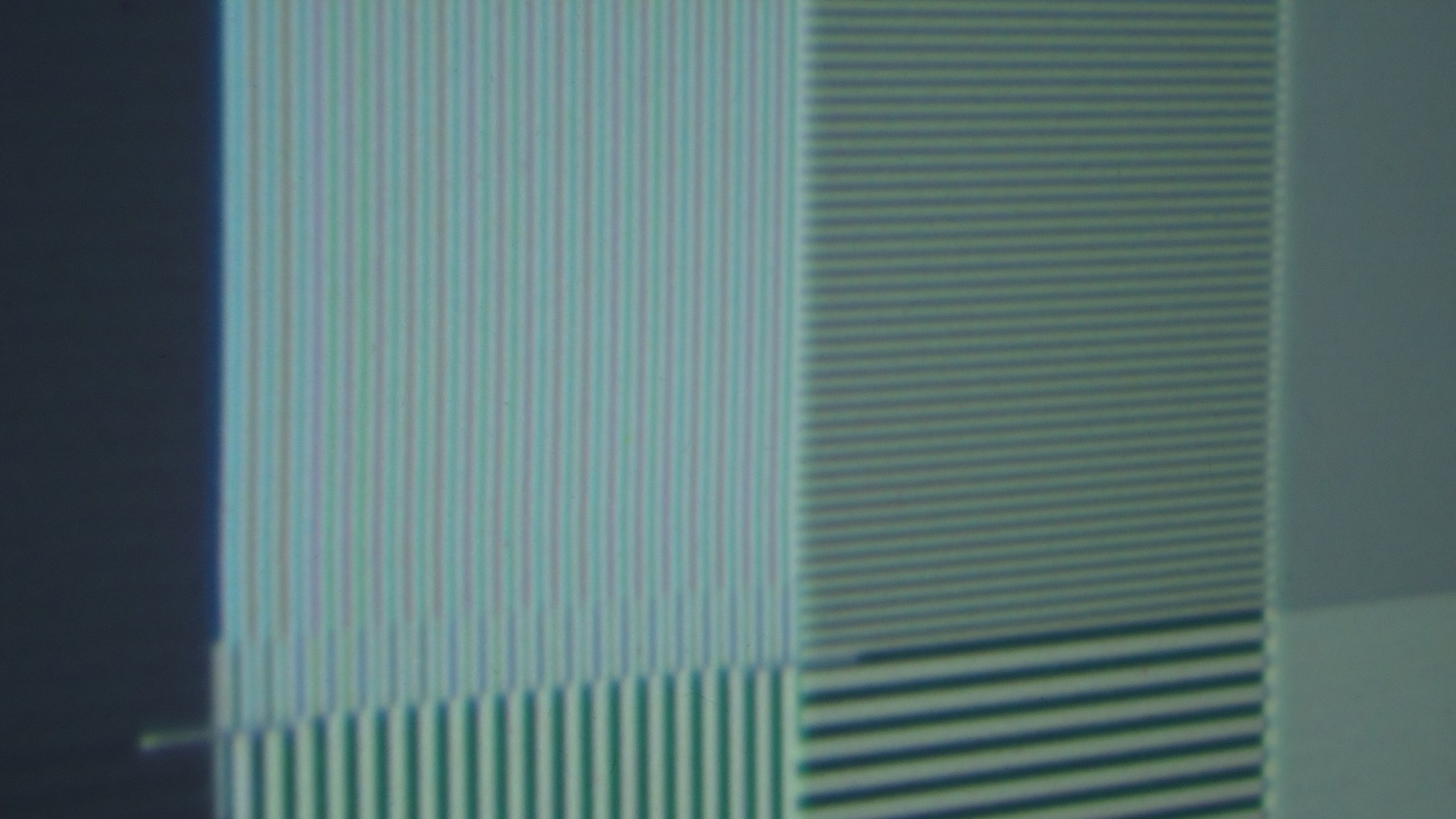 DSC05097.jpg