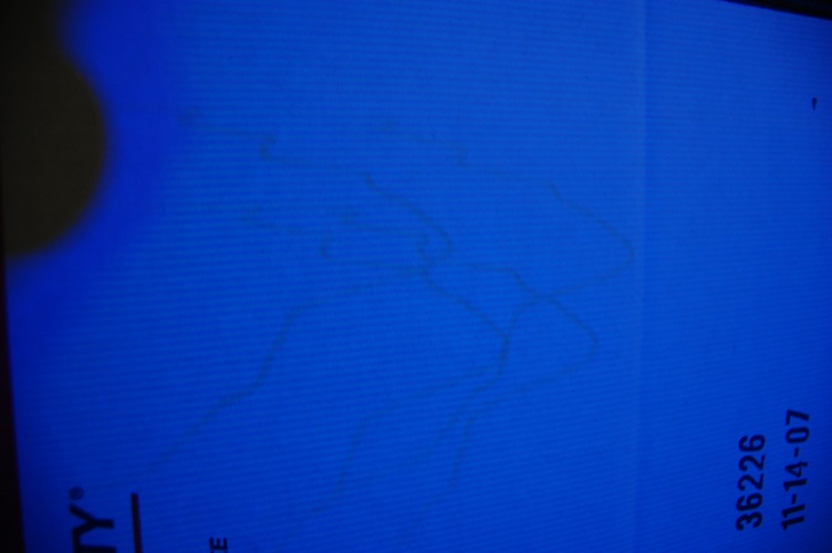 DSC_5883.JPG