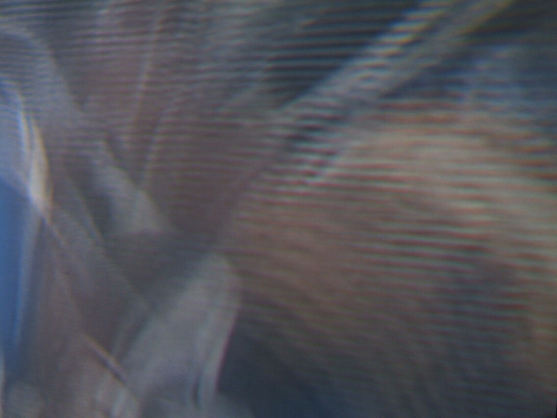 DSCF3023a.jpg