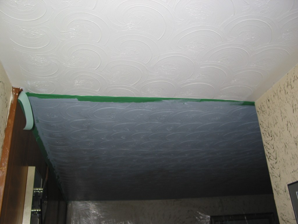 FirstPrimerAtHall4433.jpg