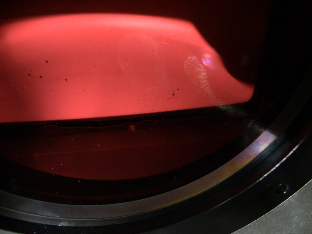 fungus red.jpg