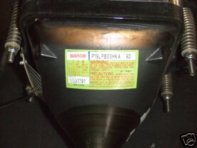green backside.JPG
