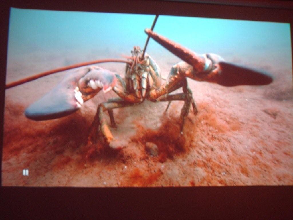 lobsitting.jpg