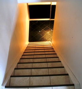 mobybio 001.jpg