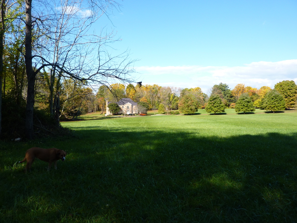 P1010761a.JPG