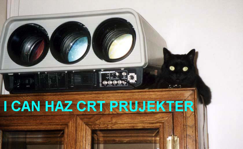 Project-a-Cat.jpg