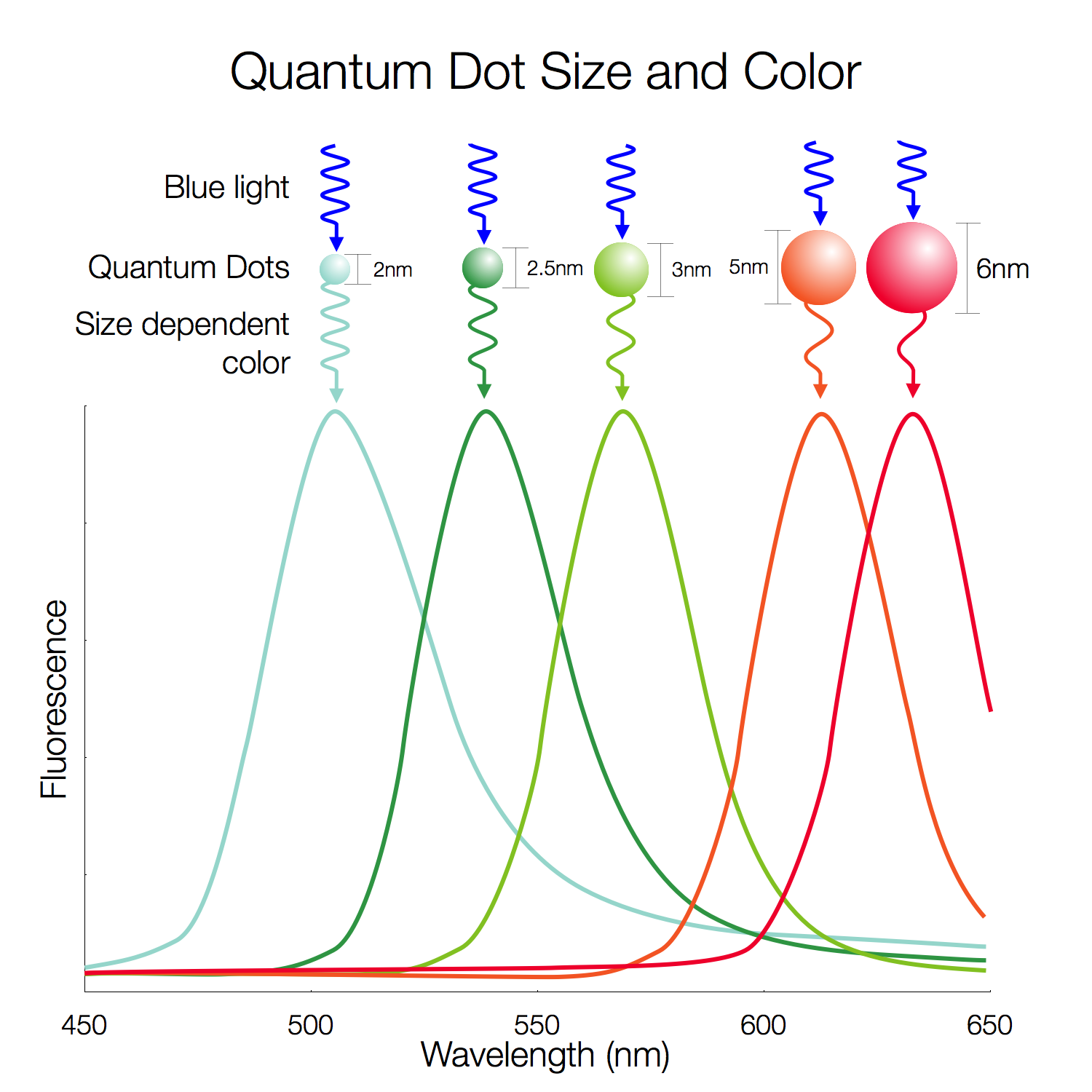 qdsizes-spectrum.png