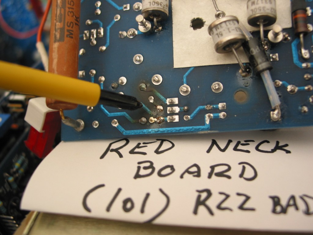 RED_back_4390.jpg