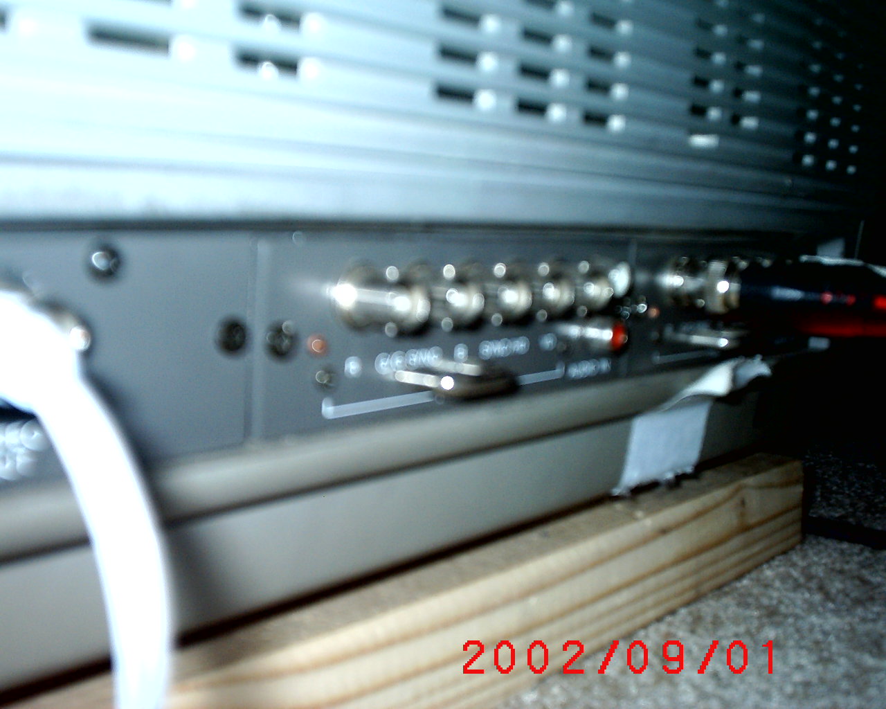 S1010293.JPG