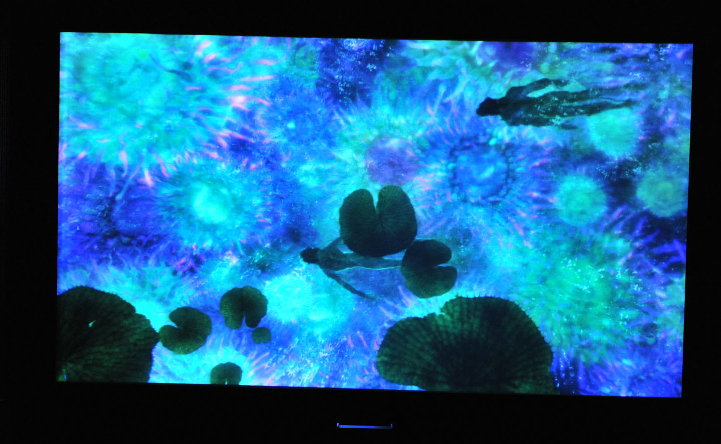 Screen-4.jpg
