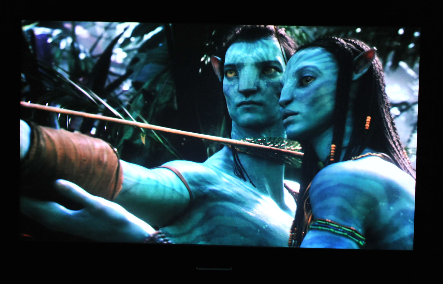 Screen-5.jpg