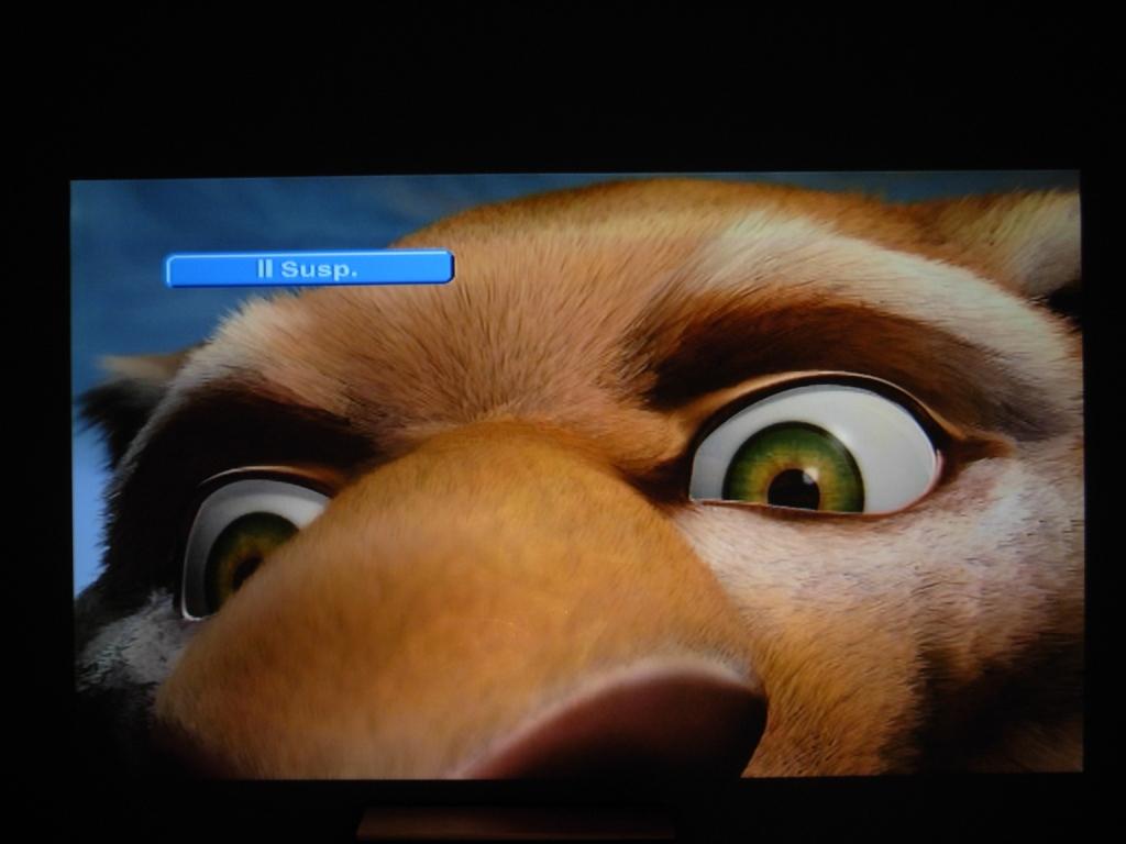 tigr.jpg