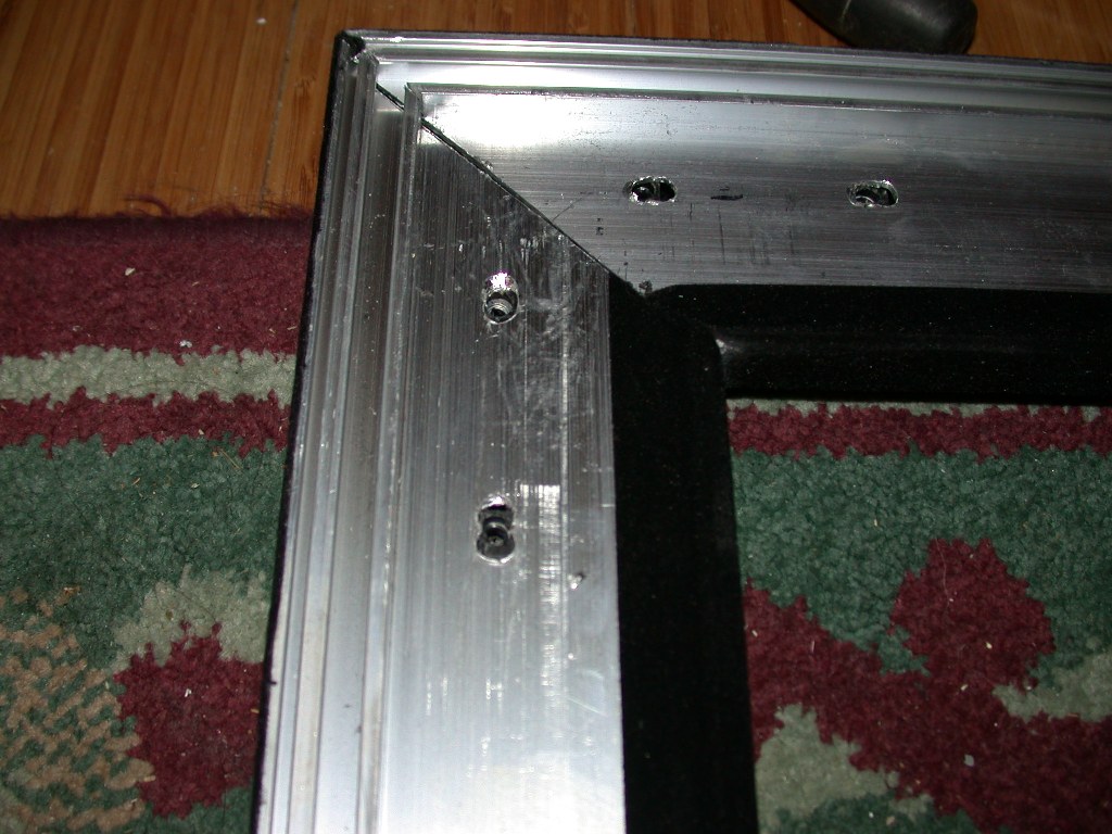 trampoline 013.JPG
