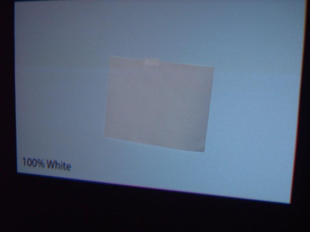 white sit.jpg