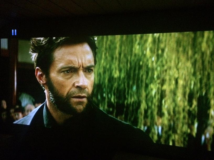 Wolverine.jpg