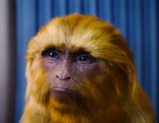 YoungYoda_tgc9MikEEby.JPG
